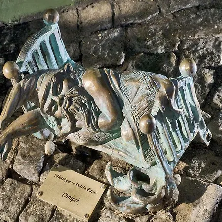 Tulip - Patio 弗罗茨瓦夫