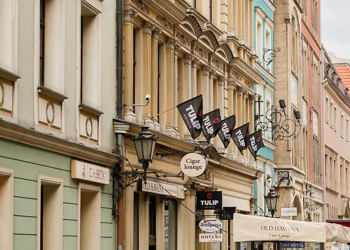 Tulip - Patio 3* Breslau