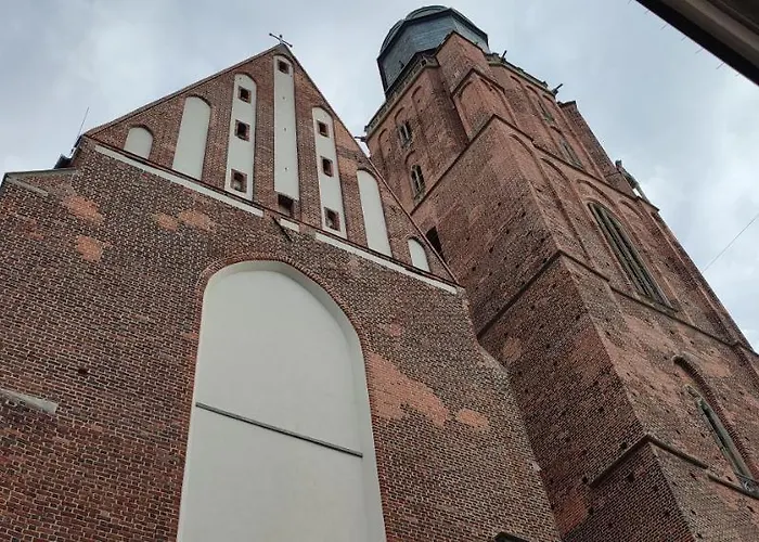 Tulip - Patio 酒店